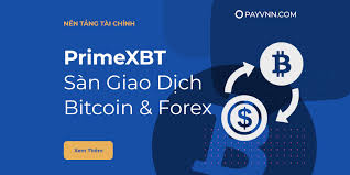 Exciting Opportunities Are Awaiting Join PrimeXBT Contests Today!